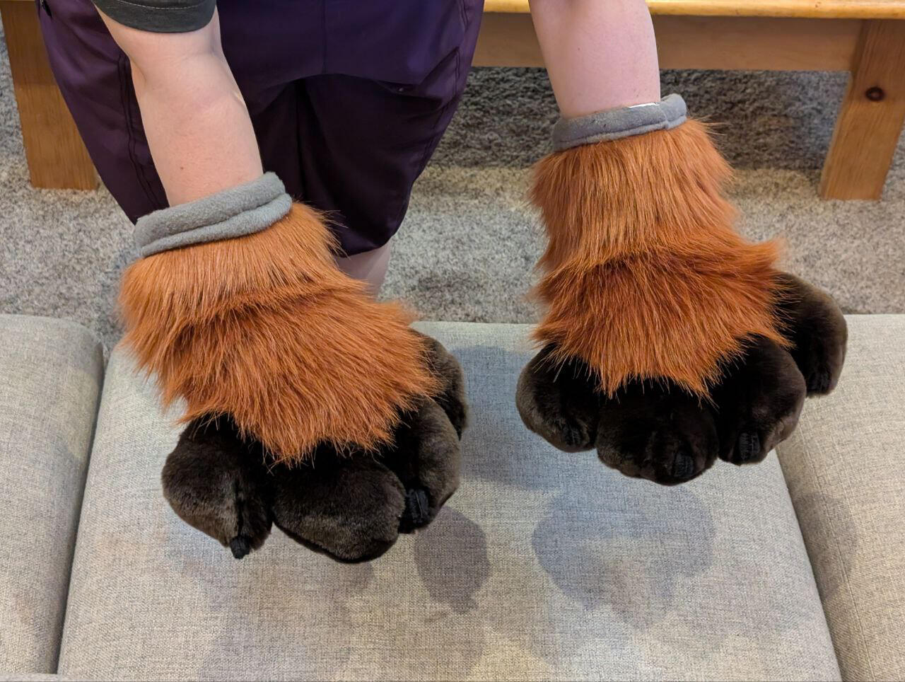 Brown and Amber Paws Brown and Amber Paws